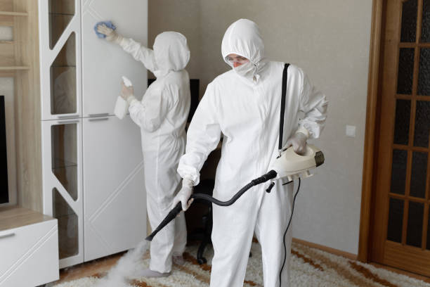 Best Attic Mold Removal  in Acushnet Center, MA